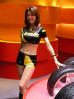 Thumbnail version of Day2 153.jpg, image 5 of 69